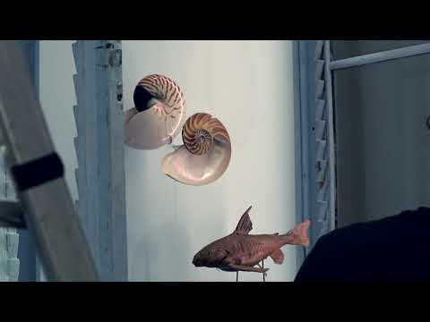 Lo spettacolo del mondo. A Palazzo Botta.