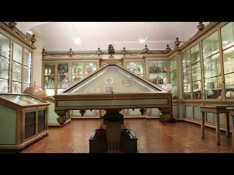 Museo per la Storia dell'Università - Università di Pavia