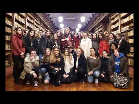 Biblioteca Universitaria