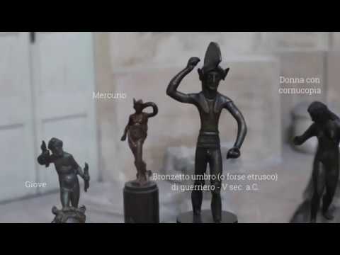 1820-2020, il Museo di Archeologia dell'Università di Pavia compie 200 anni